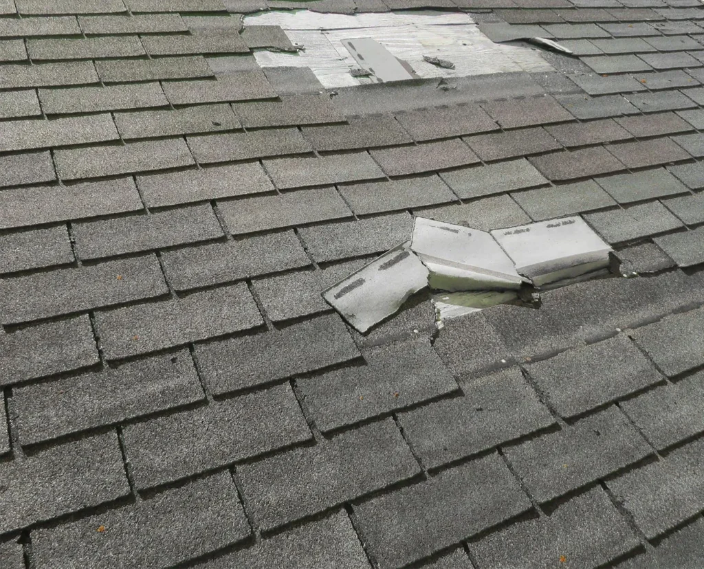Common Roof Problems Homeowners Ignore (and What They Really Cost)